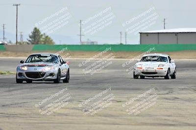 media/May-04-2025-Lucky Dog Racing (Sun) [[21629467aa]]/Turn 9 (115-130pm)/